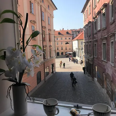Appartement Leon Downtown